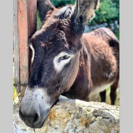 Appartamento Lava House Mandrákion