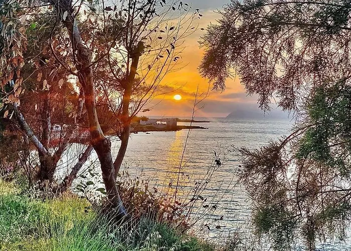 Lava House Lejlighed